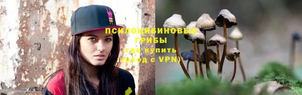 хмурый Вязьма