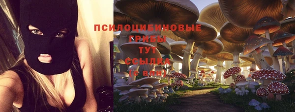 герыч Вяземский