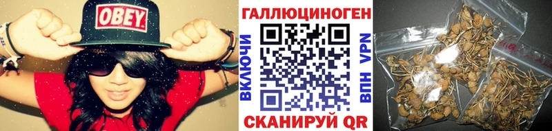 наркошоп  Вяземский  Галлюциногенные грибы Psilocybe 